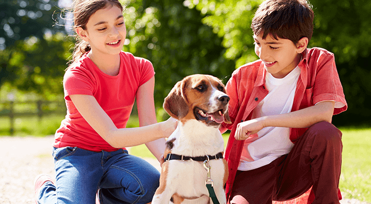 Children with a dog recovering from being microchipped in Washington D.C.